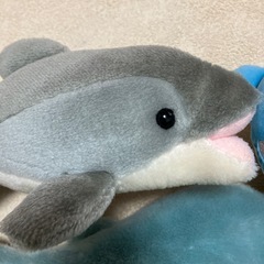 ぬいぐるみ　イルカ　くじらの画像