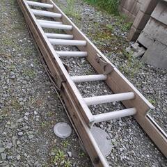 二連梯子の画像