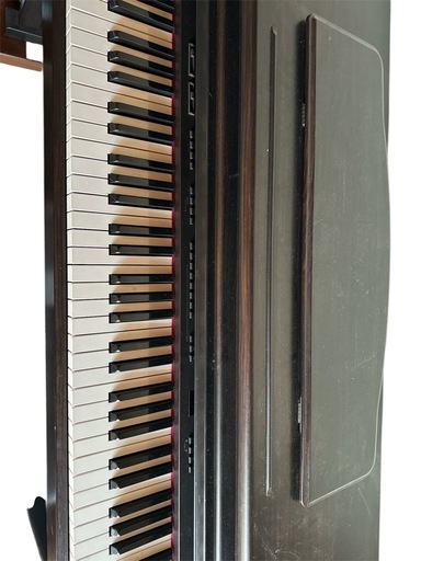 引き取り手決まりました