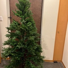 クリスマスツリー
