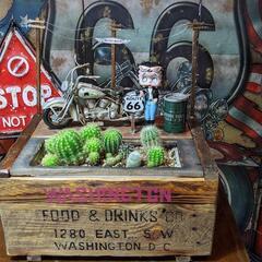 ベティーちゃん アメリカンガレージ プランター サボテン ディスプレイ