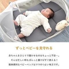 西川 ミッフィー  ベビーベッド 蚊帳の画像