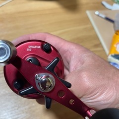 ダイワダイナスター250右巻き