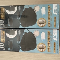 マスク2個セット