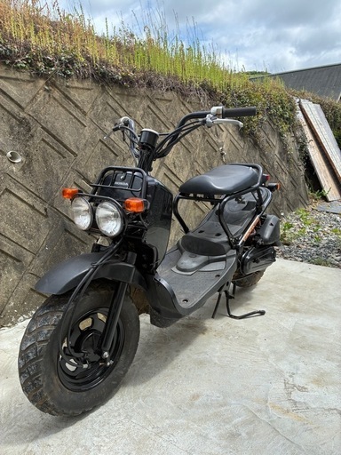 ズーマーAF58 キャブ車 （札幌発キャブOH済】ズーマーAF58キャブ