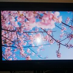 EIZO ColorEdge CX240 24.1インチ 192...