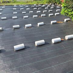 引き取り限定！！ 花壇や防草シート押えに・・・テストピース（１本＝10円）の画像