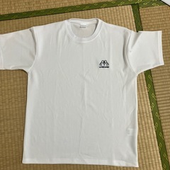 TシャツLサイズ 