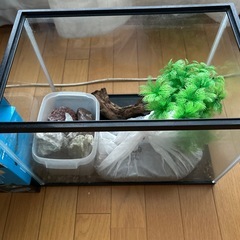 水槽セット