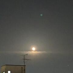 ２８日    ✨試写会ご一緒にいかが😁