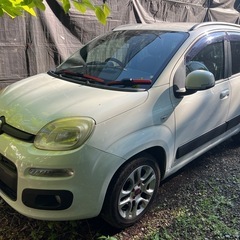 フィアット　パンダ　イージー　車検８月の画像