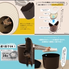 猫用トイレの画像