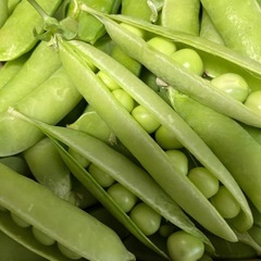 うすいえんどう　豆　500g