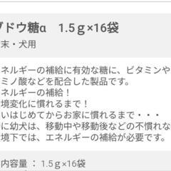 【犬用栄養補助食】ブドウ糖α　賞味期限2027.4の画像