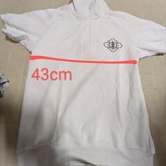 高座小学校　男女体操服の画像