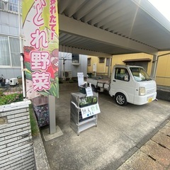 無人100円野菜
