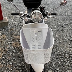 today50cc自賠責たっぷり