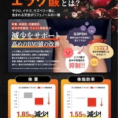 カロバーンEX 30日分 肥満気味の方の体重 体脂肪の減少を助ける 血中中性脂肪 機能性表示食品の画像