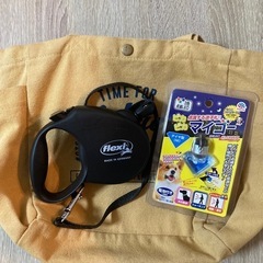 取引先決定　お散歩セット