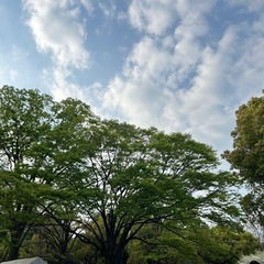 Vo募集されている方いませんか？