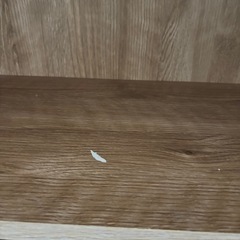 食器キャビネット2台(片方でもOK)