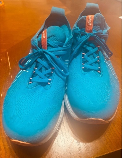 アシックス29cmランニングシューズ GEL-NIMBUS25 エクストラワイド
