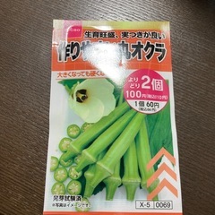 オクラの種
