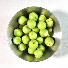 【無農薬】南高梅 1kg