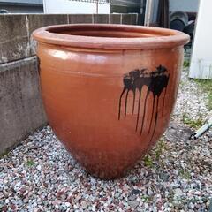 水瓶 水鉢 睡蓮 メダカ 壺 レトロ 骨董品