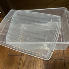 蓋付き透明ケースの画像