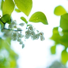 最終値下げ⭐️Canon デジタル一眼レフカメラ レンズ付き  動作確認済み おまけでもう一本レンズ付き⭐️の画像