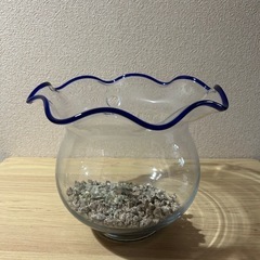 きんぎょ鉢とエアポンプ