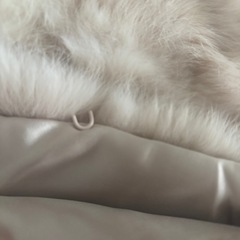 𝐂𝐚𝐥𝐯𝐢𝐧 𝐊𝐥𝐞𝐢𝐧ファー  の画像