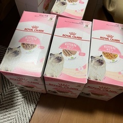 ロイヤルカナン/キトン3種　85個【バラ売り不可】