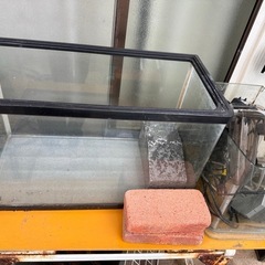 本日（5/15）取りに来ていただける方☆　水槽各種（60cm~4...