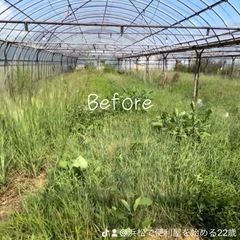 格安草刈り お見積り無料！