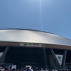 平日観戦仲間募集