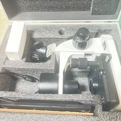 新品　血流スコープ　毛細血管の画像