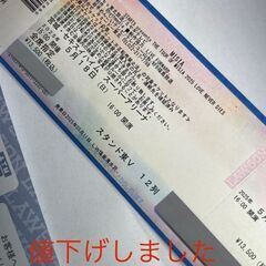 MISIA　チケット　利府セキスイハイムスーパーアリーナ　