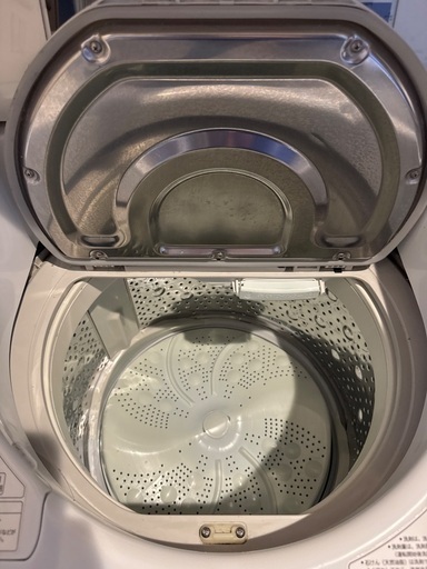 ビートウォッシュ 大容量 10kg BW-DV10SV