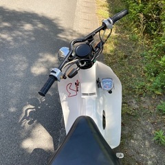 スーパーカブ　　カスタム車両の画像