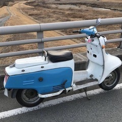 ラビット
