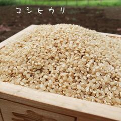 R6　玄米コシヒカリ30kg