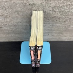 クルエラーザンデッド 上下巻の画像