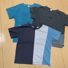 ブリーズ・半袖Tシャツ3枚(120)