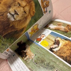 児童書 まとめ売り 美品の画像
