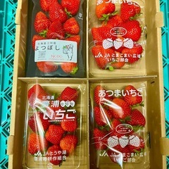 地物の甘くて美味しい苺ばかり集めました☆