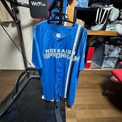 北海道日本ハムファイターズ　松本剛選手　レプリカユニフォーム　Lサイズ