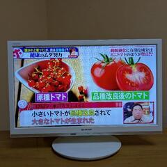 [綺麗]シャープアクオス19インチ(2018年製)2T-C19AD