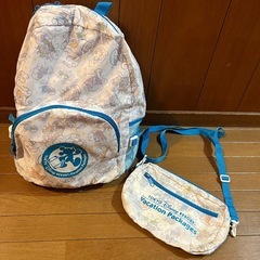 ディズニーランド　リュックサック　バックパック　ショルダーバッグ...